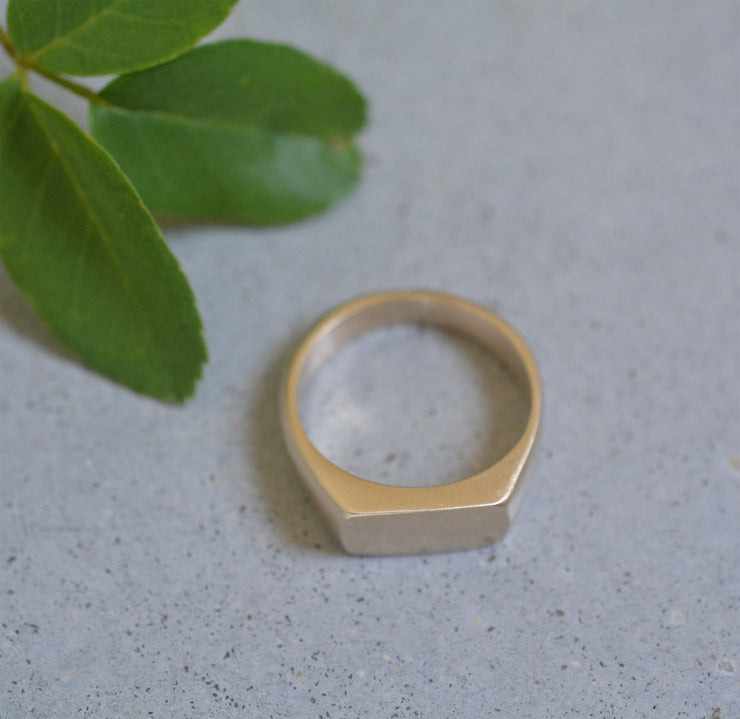 טבעת חותם אביטל - זהב 14K